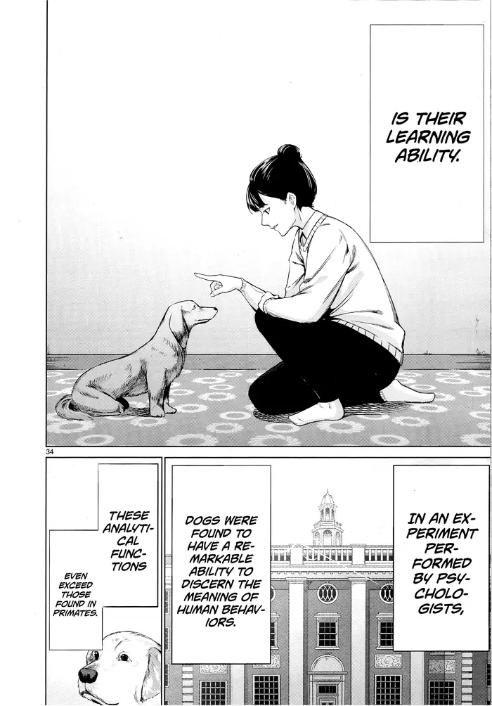 Killing Bites Chapter 76 image 31_optimized
